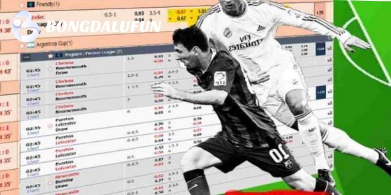 Chuyên gia chuyên nghiệp